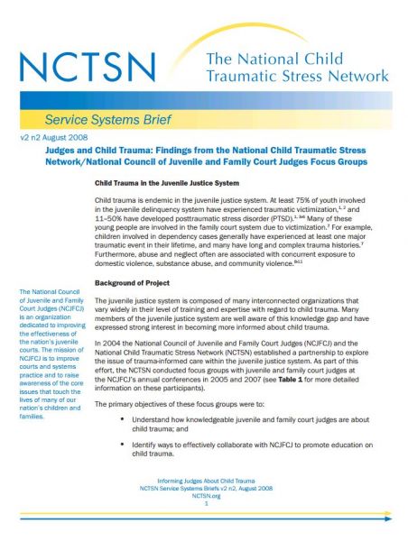Judges and Child Trauma: Findings from the National Child Traumatic Stress Network/National Council of Juvenile and Family Court Judges Focus Groups